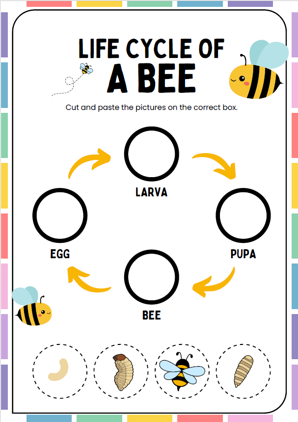 Bee Busy Book PDF Printable | Toddler Quiet Book | Bee Life Cycle Activities | Preschool Kindergarten Printable | Instant Download