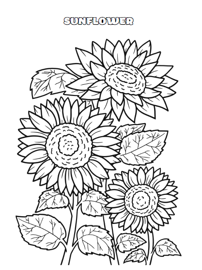 Flower Coloring Book for Adults & Kids | 134 Pages Printable PDF | Botanical Flowers Coloring Pages | Instant Download