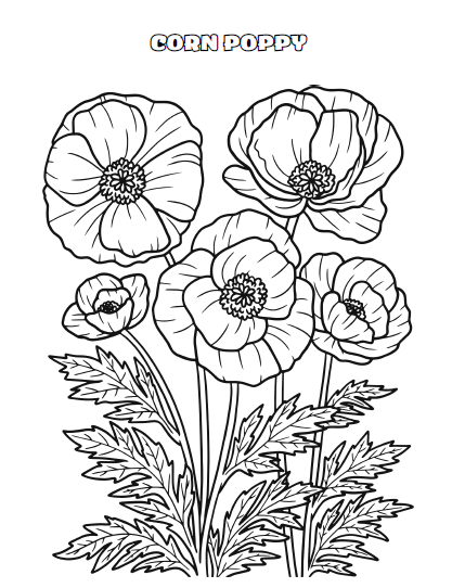 Flower Coloring Book for Adults & Kids | 134 Pages Printable PDF | Botanical Flowers Coloring Pages | Instant Download