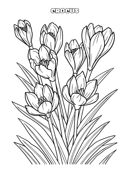 Flower Coloring Book for Adults & Kids | 134 Pages Printable PDF | Botanical Flowers Coloring Pages | Instant Download