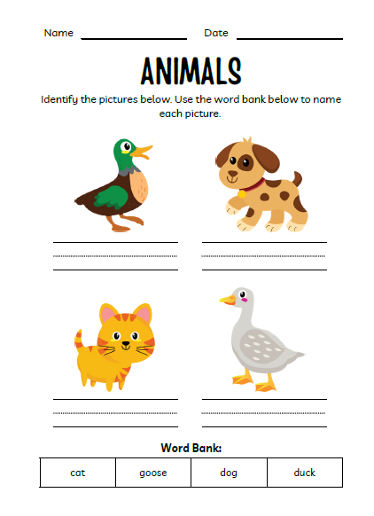 Animals Workbook for Kids | 51 Pages Printable PDF | Animal Identification, Matching Activities | Preschool Kindergarten Homeschool