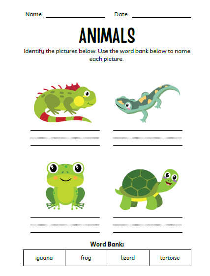 Animals Workbook for Kids | 51 Pages Printable PDF | Animal Identification, Matching Activities | Preschool Kindergarten Homeschool