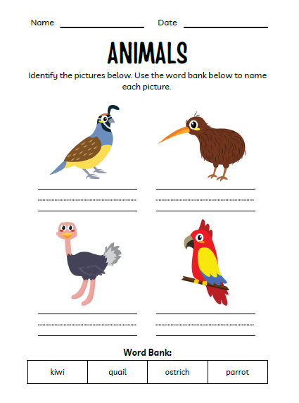 Animals Workbook for Kids | 51 Pages Printable PDF | Animal Identification, Matching Activities | Preschool Kindergarten Homeschool