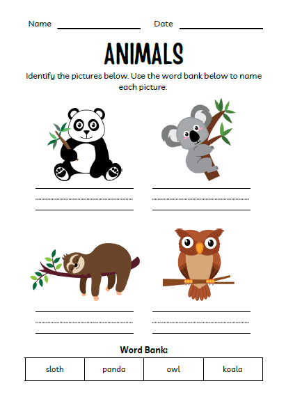 Animals Workbook for Kids | 51 Pages Printable PDF | Animal Identification, Matching Activities | Preschool Kindergarten Homeschool