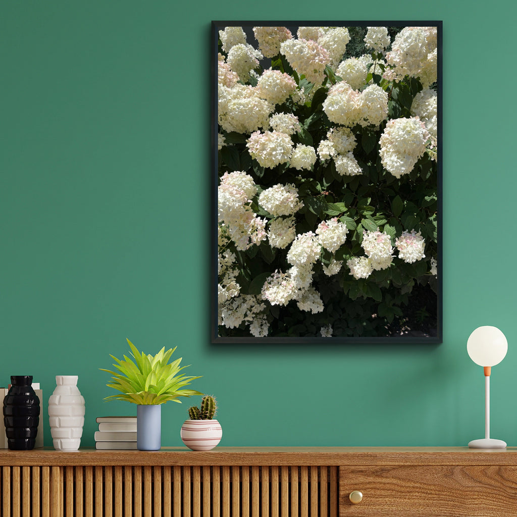 White Hydrangea Flower Photography Poster, Floral Wall Art, Garden Botanical Print